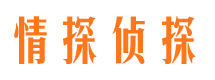 汇川市调查公司